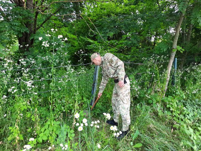 РОСГВАРДИЯ ОБЕСПЕЧИЛА ОБЩЕСТВЕННУЮ БЕЗОПАСНОСТЬ ВО ВРЕМЯ ПРОВЕДЕНИЯ НАЦИОНАЛЬНОГО ПРАЗДНИКА В СЕВЕРНОЙ ОСЕТИИ