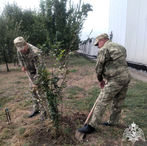 ВОЕННОСЛУЖАЩИЕ ВЛАДИКАВКАЗСКОГО СОЕДИНЕНИЯ РОСГВАРДИИ ПРИНЯЛИ УЧАСТИЕ ВО ВСЕРОССИЙСКОМ СУББОТНИКЕ