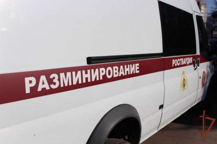 ВО ВЛАДИКАВКАЗЕ РОСГВАРДЕЙЦЫ ОБСЛЕДОВАЛИ НАЙДЕННЫЙ БОЕПРИПАС