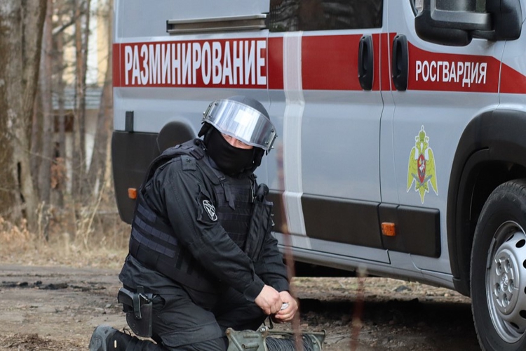 В Северной Осетии взрывотехники Росгвардии обезвредили обнаруженный местным жителем боеприпас