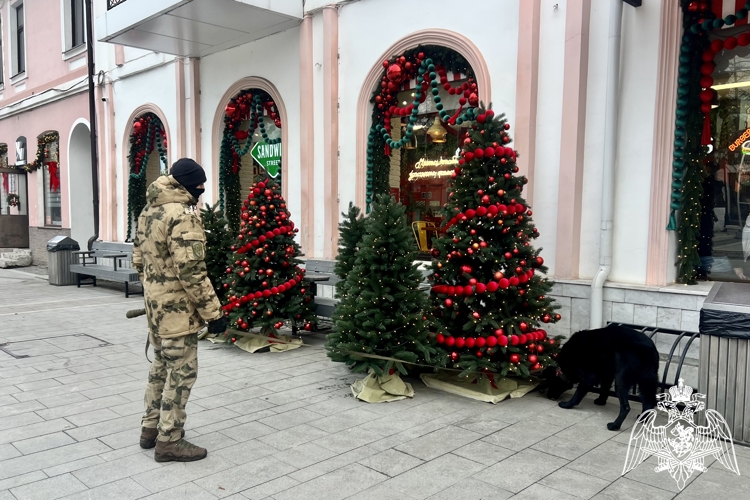 В СЕВЕРНОЙ ОСЕТИИ РОСГВАРДИЯ ПРИНЯЛА УЧАСТИЕ В ОБЕСПЕЧЕНИИ ПРАВОПОРЯДКА  В НОВОГОДНЮЮ НОЧЬ