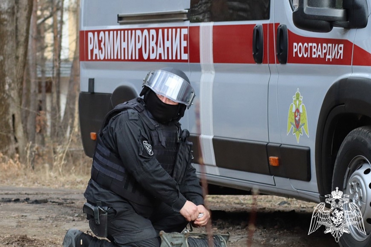 В Северной Осетии взрывотехники Росгвардии обезвредили обнаруженный местным жителем боеприпас