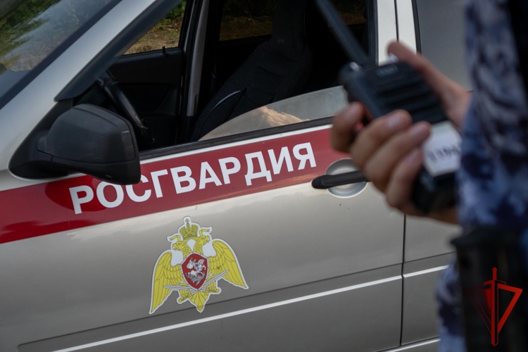 ВО ВЛАДИКАВКАЗЕ РОСГВАРДЕЙЦЫ ЗАДЕРЖАЛИ НАРУШИТЕЛЯ ОБЩЕСТВЕННОГО ПОРЯДКА