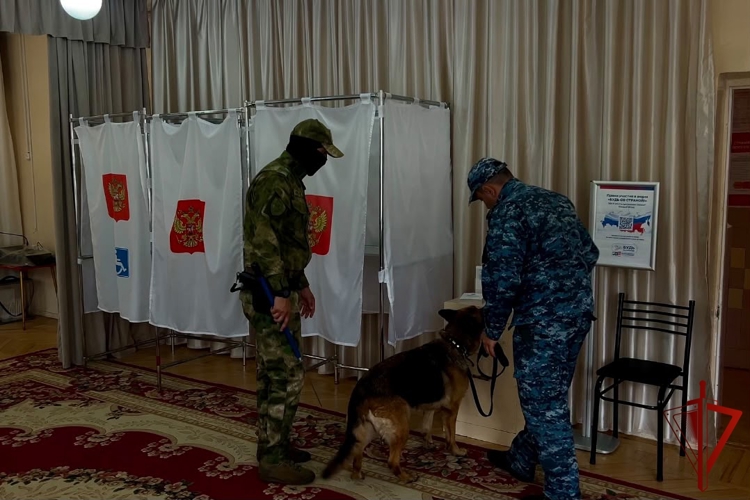Накануне Единого дня голосования росгвардейцы провели проверки избирательных участков в СЕВЕРНОЙ ОСЕТИИ