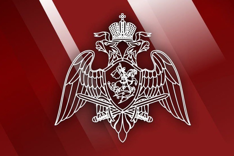 Директор Росгвардии Герой России генерал армии Виктор Золотов принял участие в заседании Федерального оперативного штаба